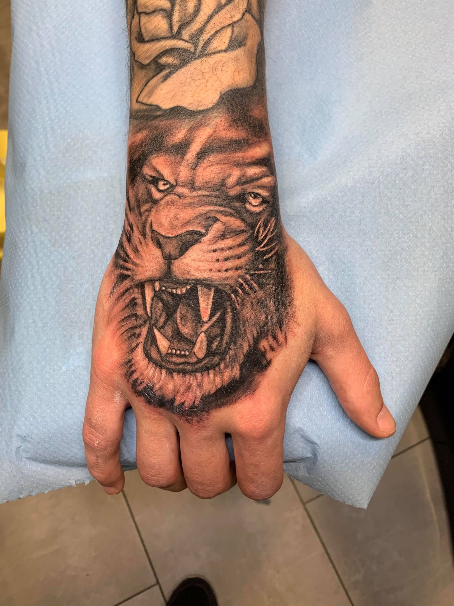 tatouage babylone tattoo realiste main noir ombrage tete de lion animal 141