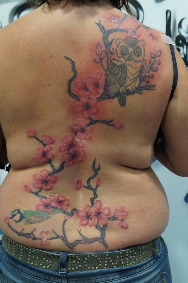 tattoo-couleurs-dos-cerisier-japonais-oiseaux-chouette-12