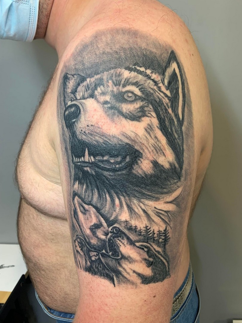 babylone tattoo realisme loup louve noir ombrages epaule bras